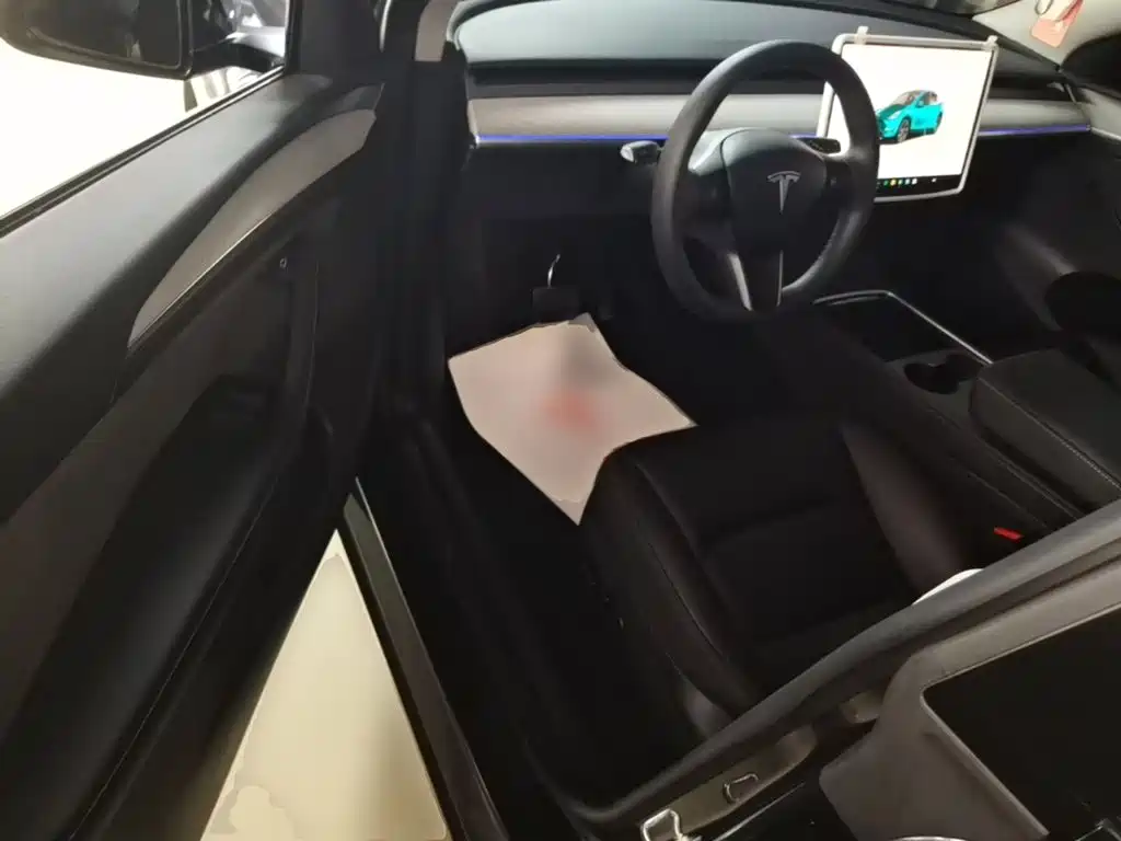 Tesla Model Y — миниатюра 16