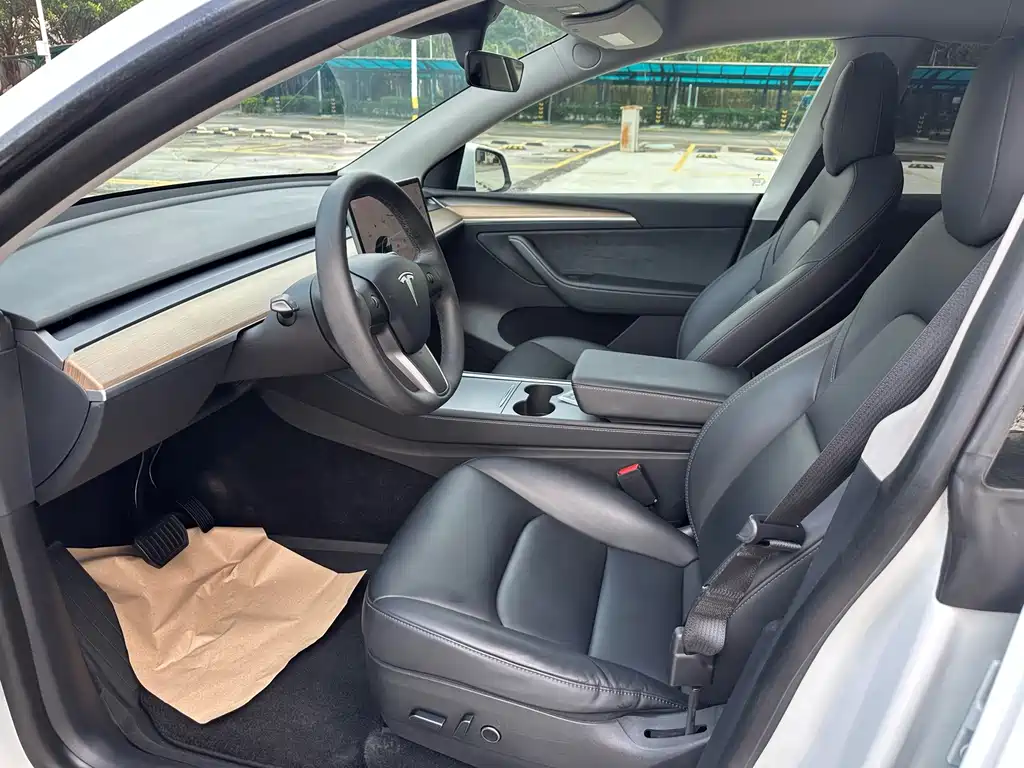 Tesla Model Y — миниатюра 4