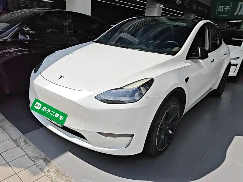 Tesla Model Y — миниатюра 2