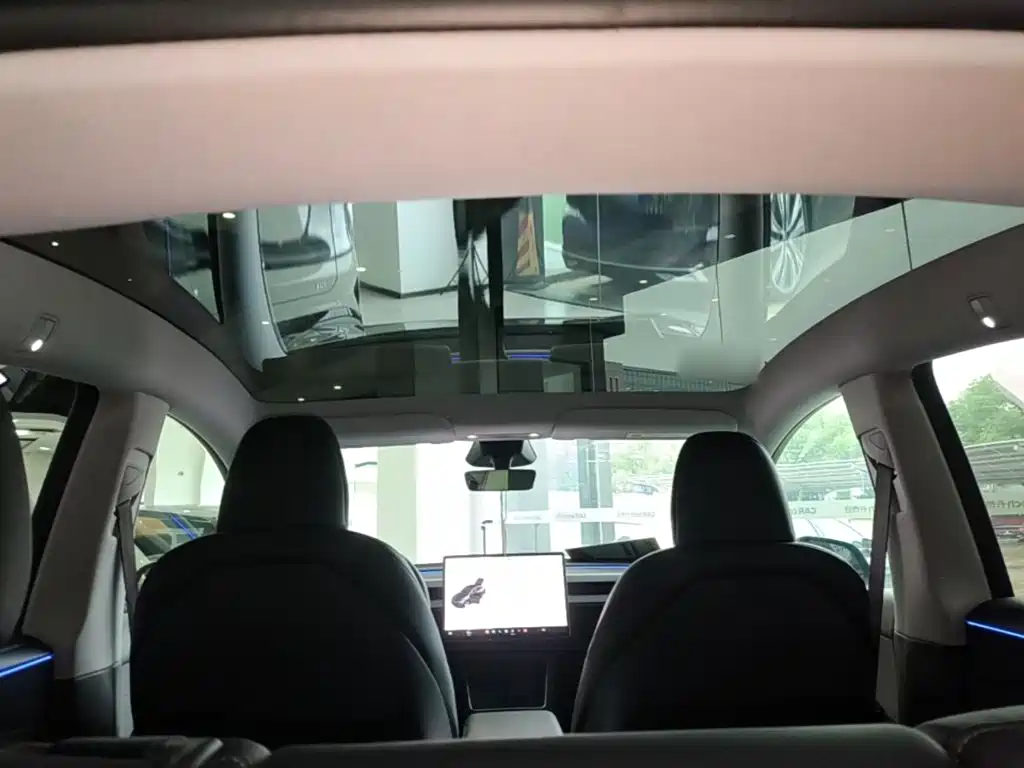Tesla Model Y — миниатюра 18