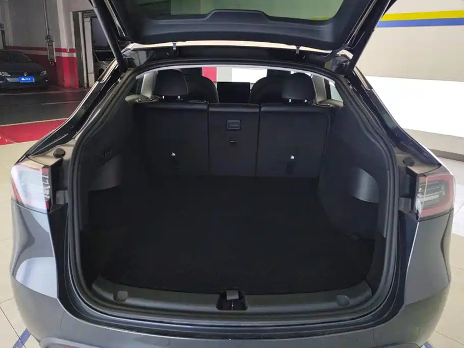 Tesla Model Y — миниатюра 4
