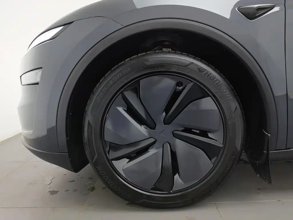 Tesla Model Y — миниатюра 17