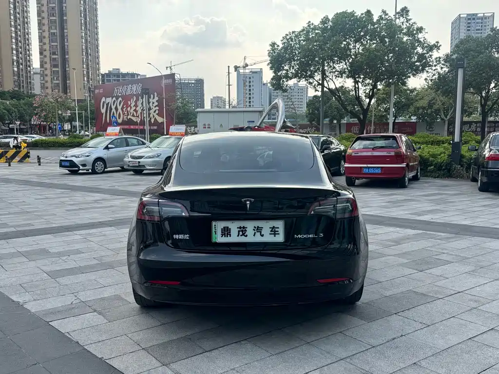 Tesla Model 3 — миниатюра 4