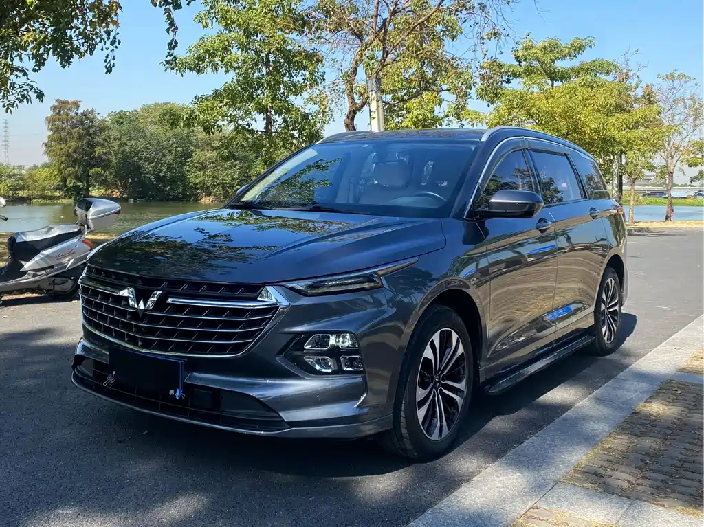 WULING WULING CAPGEMINI