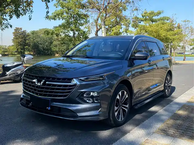 WULING WULING CAPGEMINI 2021