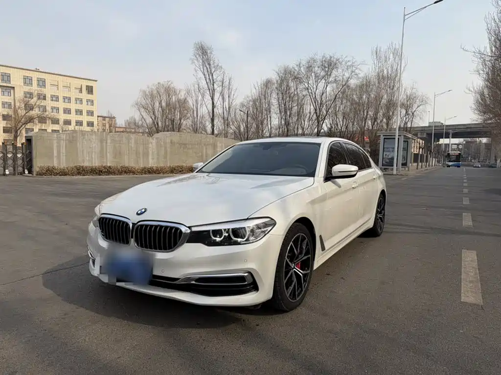 BMW 5 Series 5 2020 525Li Luxury