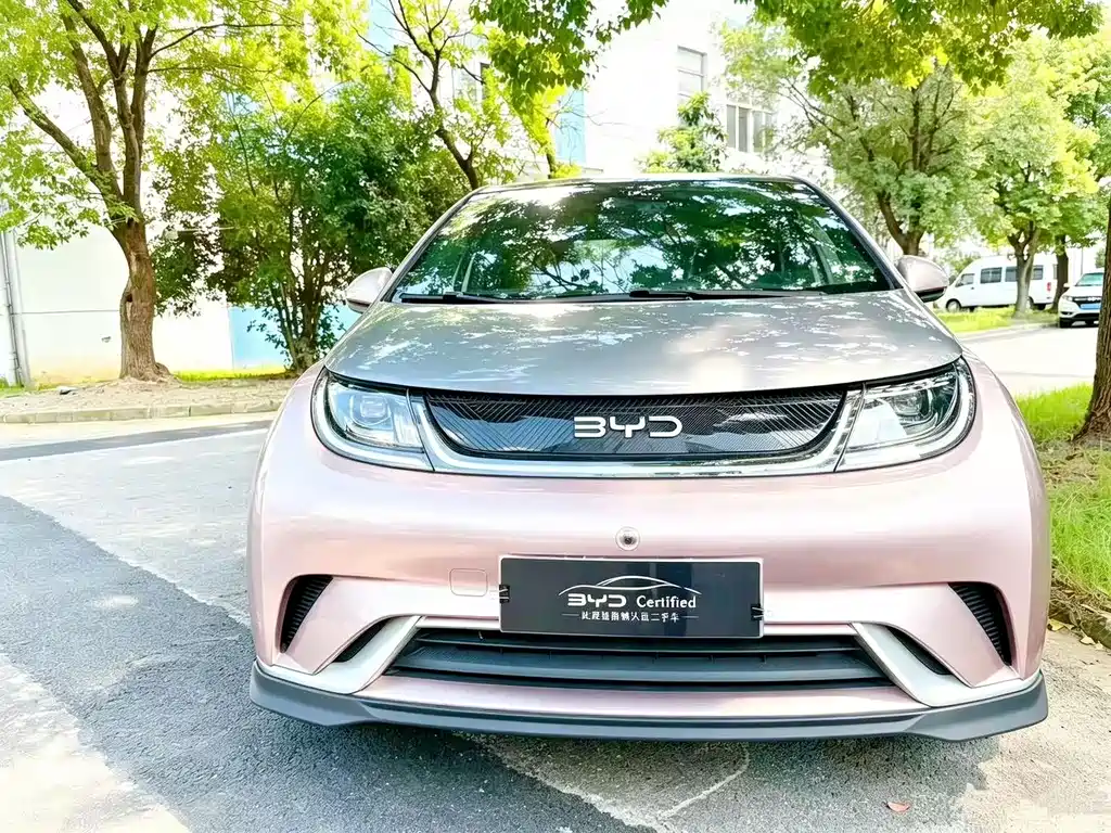 BYD Dolphin — миниатюра 2