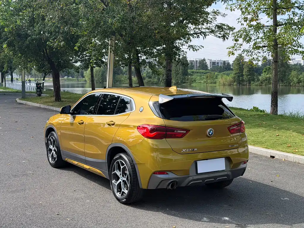 BMW X2 (Import) — миниатюра 6