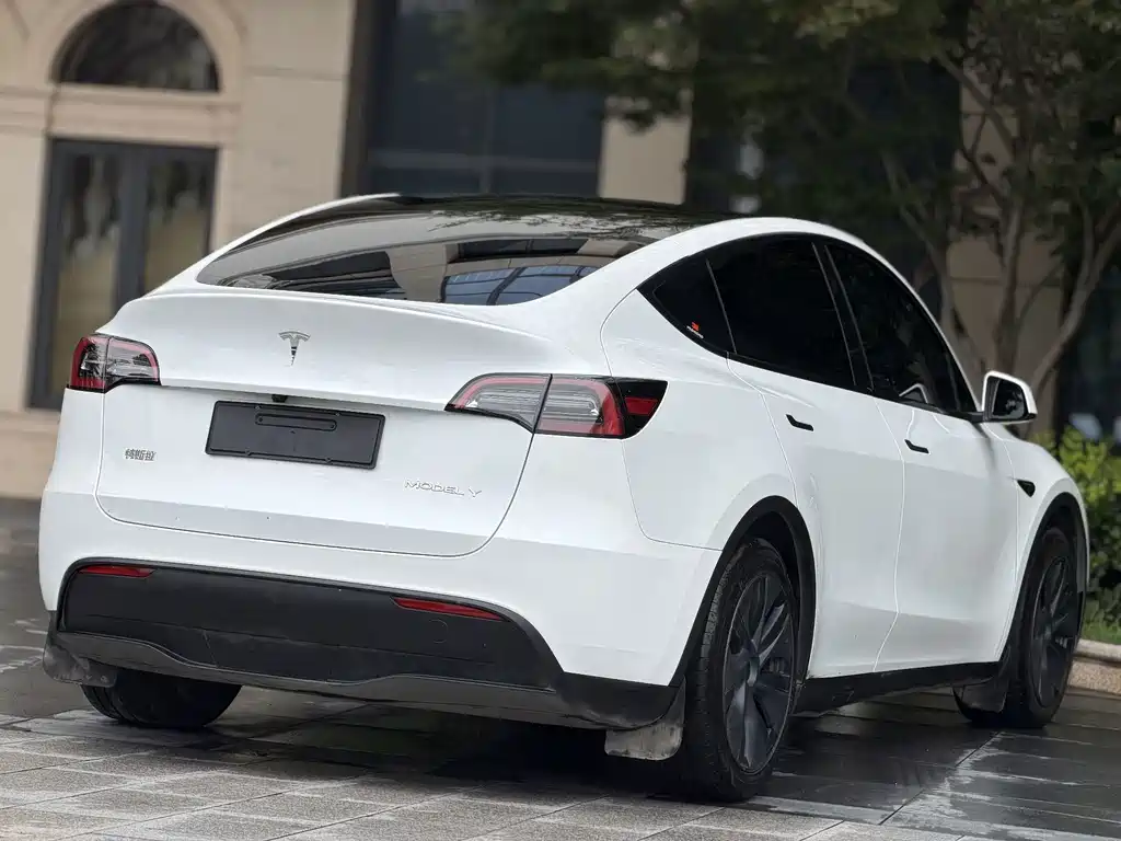 Tesla Model Y — миниатюра 8