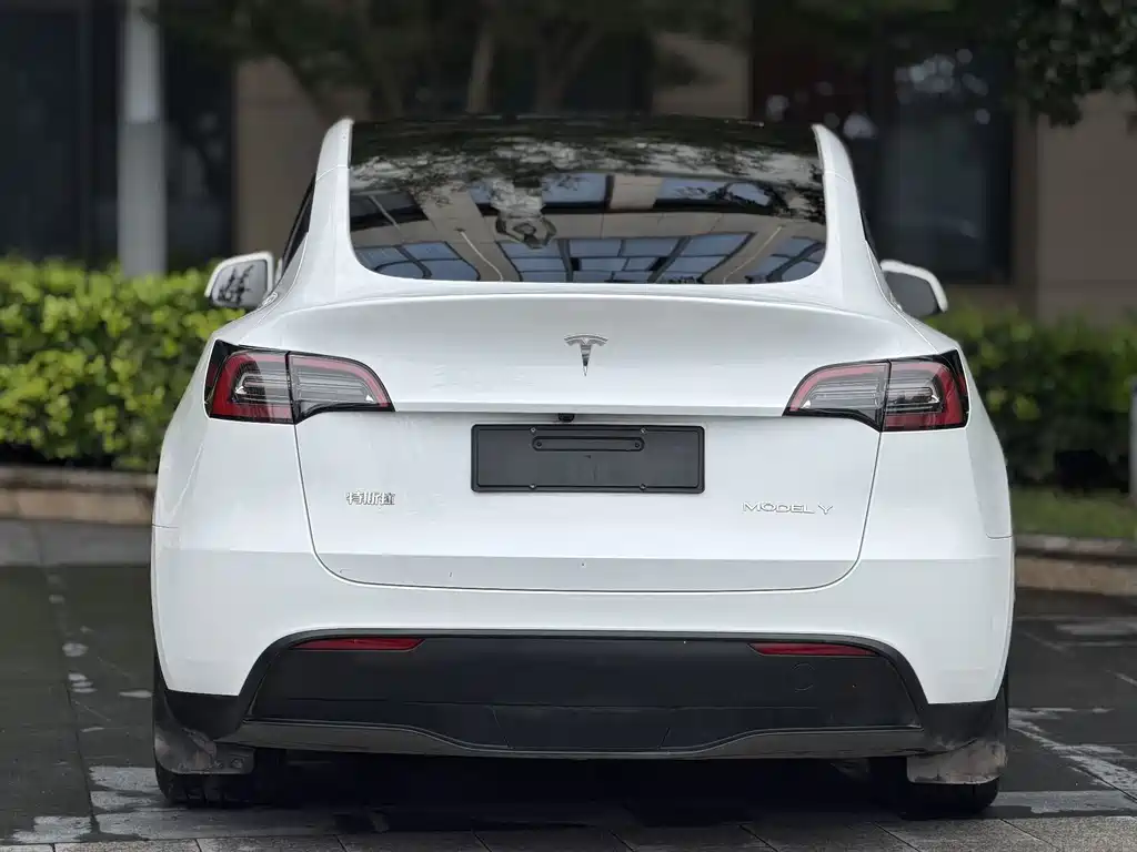 Tesla Model Y — миниатюра 9