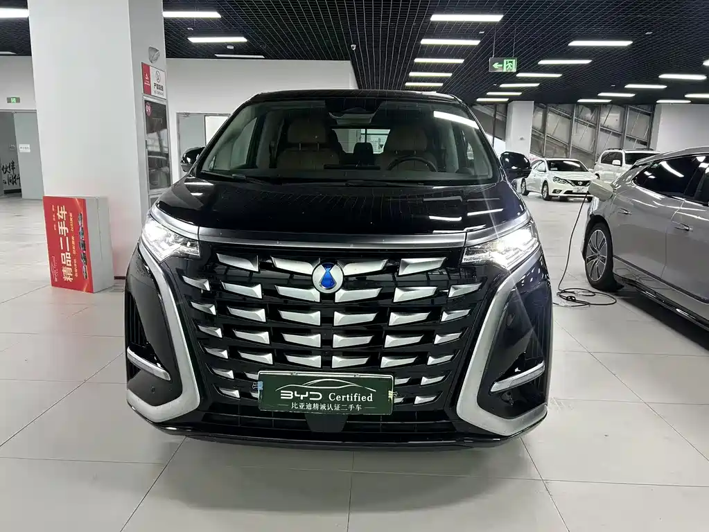 Denza Denza D9 — миниатюра 2