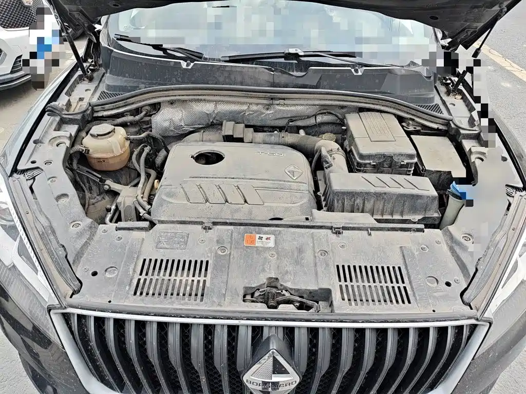 Borgward BX7 — миниатюра 21