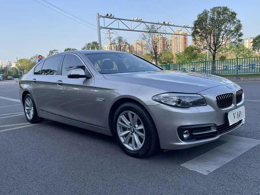 BMW 5 Series 520Li Elegant Type, фото 3