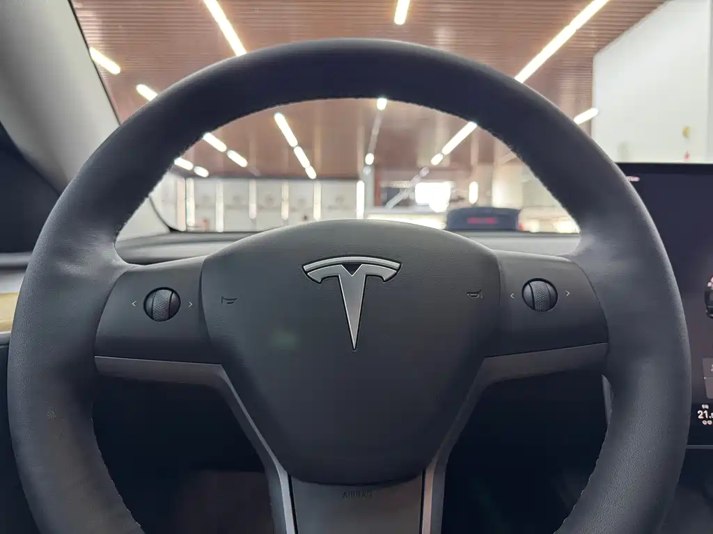 Tesla Model Y — миниатюра 10