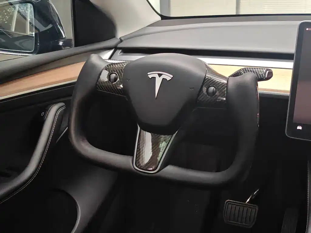 Tesla Model Y — миниатюра 10