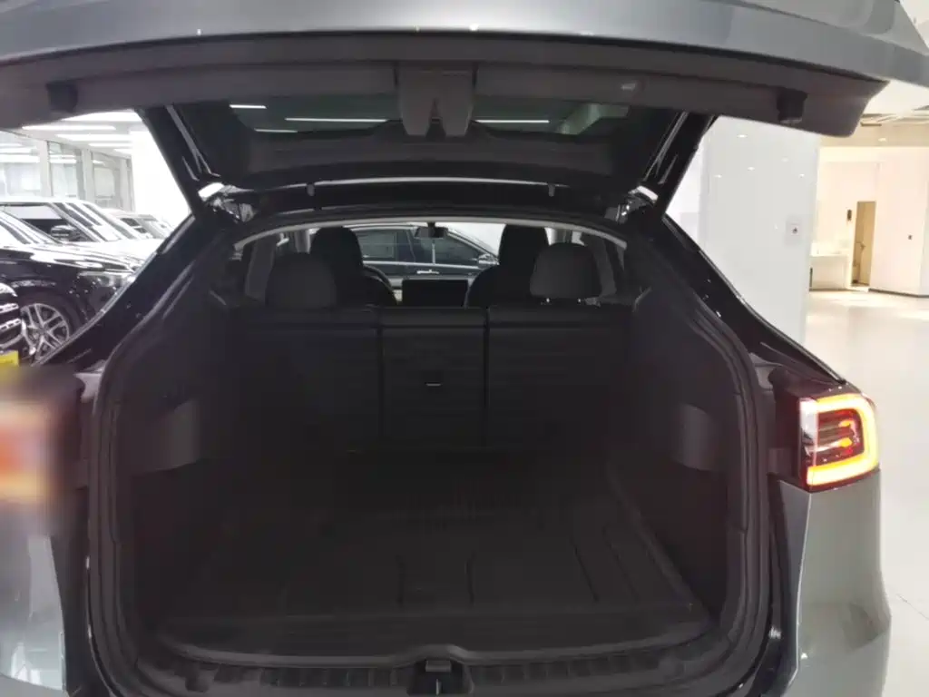 Tesla Model Y — миниатюра 19