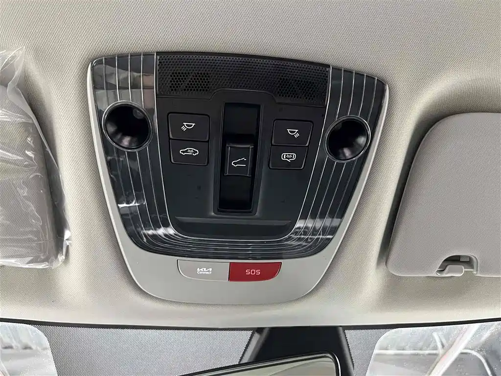 KIA LION PLATINUM EXPANDS THE WORLD