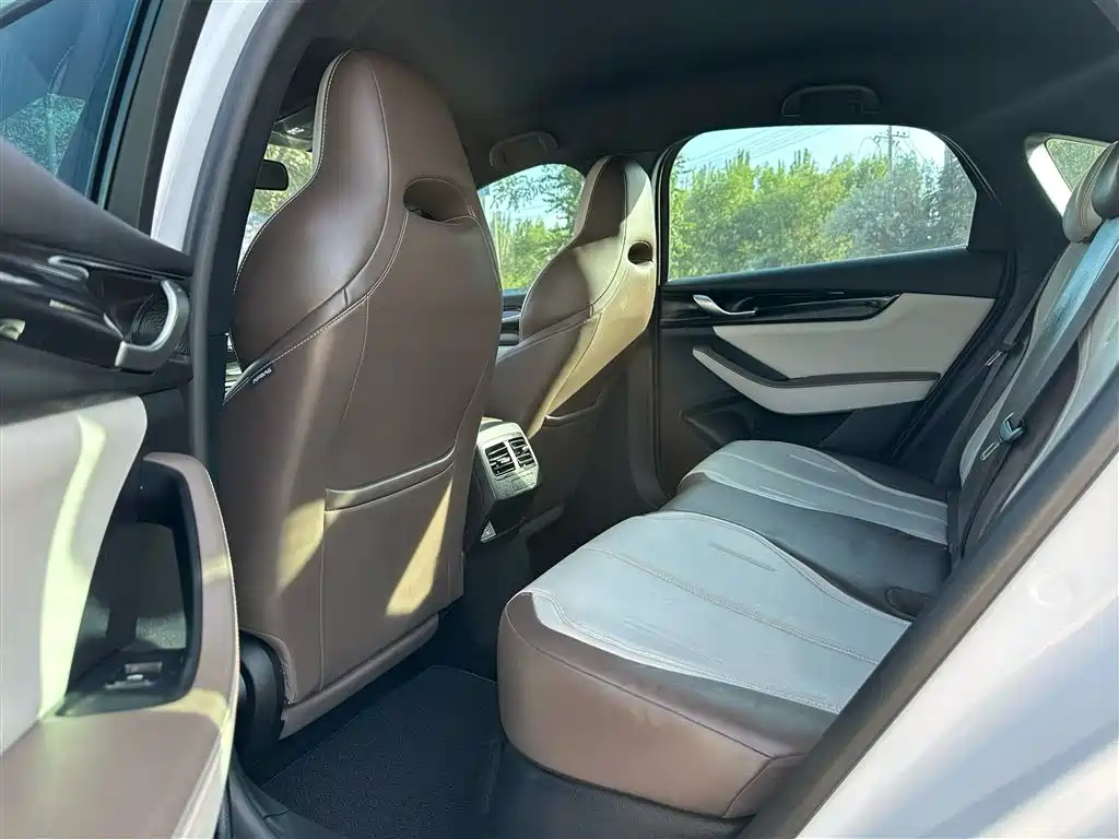 BYD Qin Plus PLUS 2023 Champion DM-i 55KM Lead