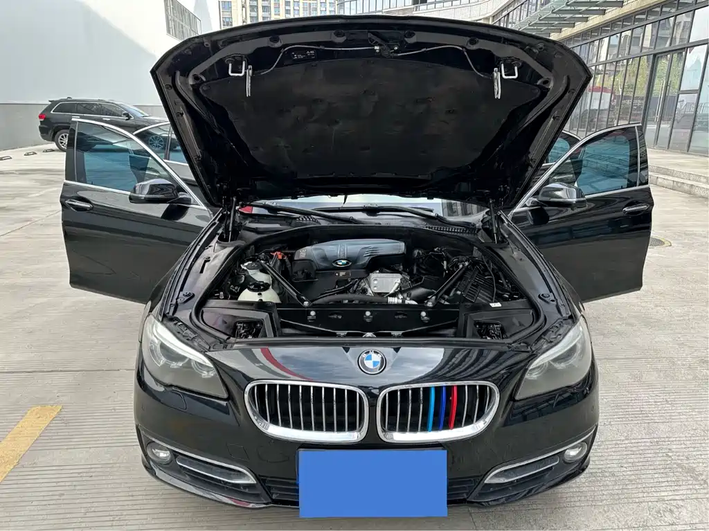BMW 5 Series 5 2017 525Li Luxury