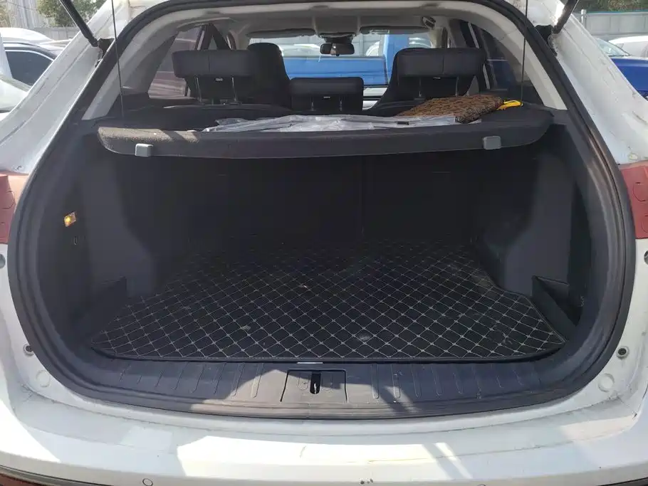WM Motor EX5 — миниатюра 4