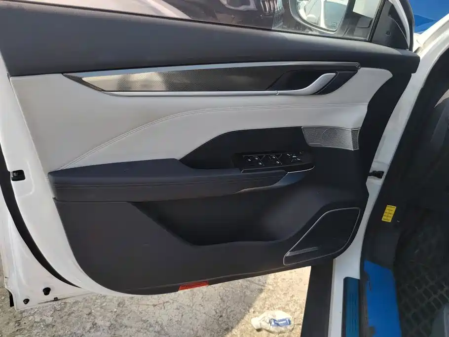 WM Motor EX5 — миниатюра 7