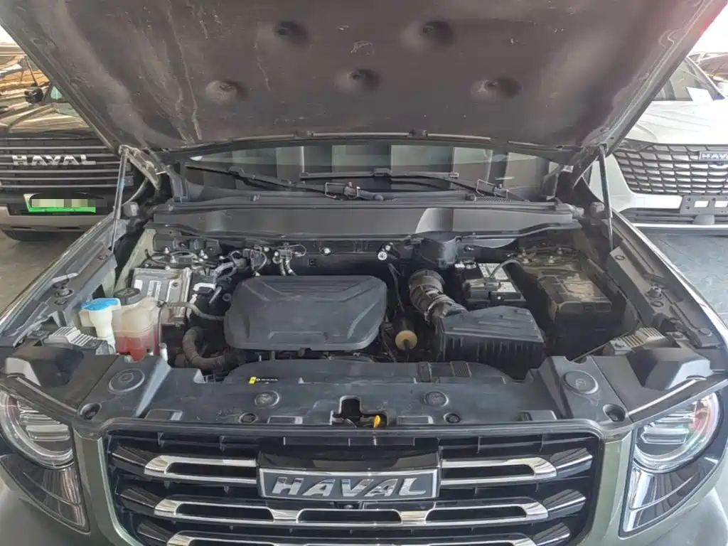 Haval Big Dog — миниатюра 20