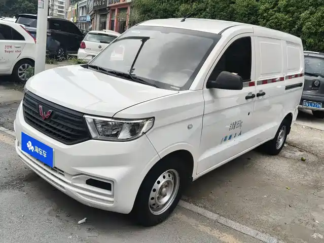 2024 Wuling Motors Hongguang