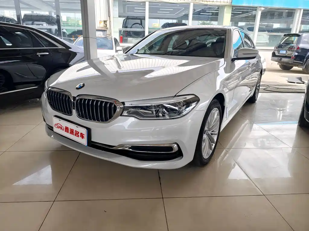 BMW 5 Series 2020 530Li Premium Type Luxury Package