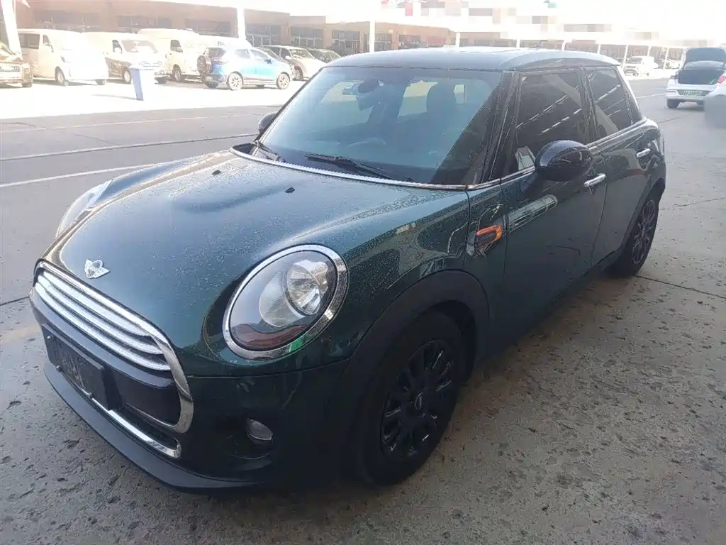 Mini Mini 2017