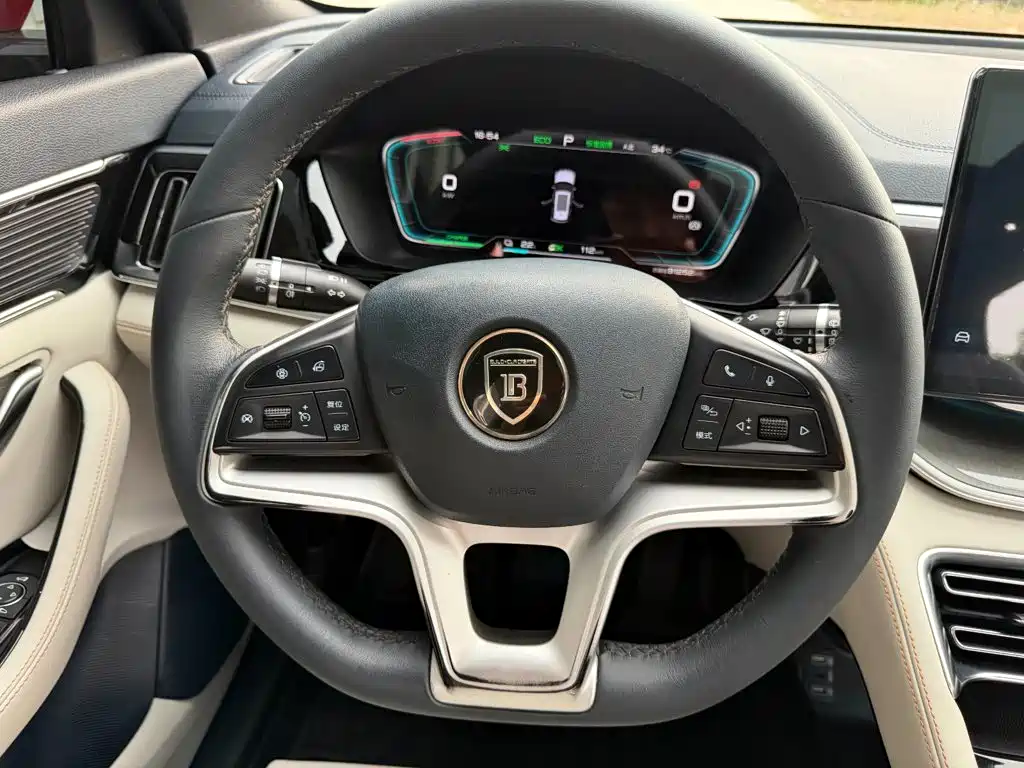 BYD PLUS New Energy — миниатюра 19