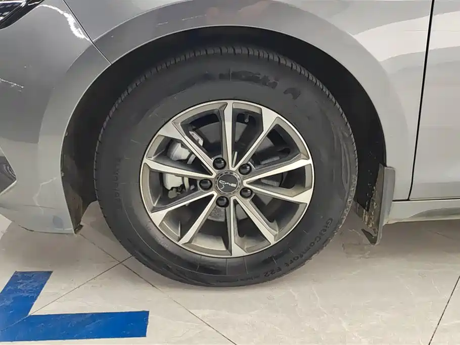 BYD Destroyer 05 2023 Champion DM-i 55KM Luxury