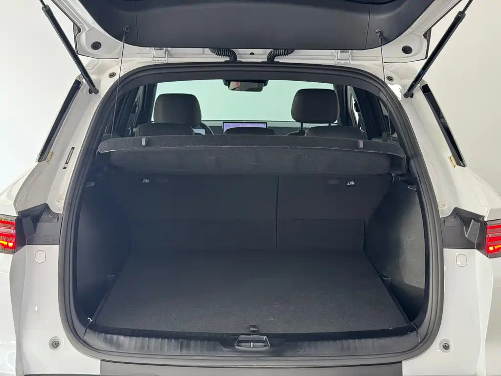 BYD Pro New Energy — миниатюра 7