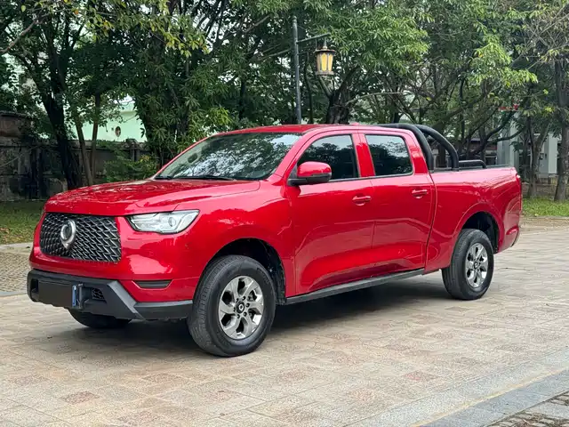 GREAT WALL CANNON 2021