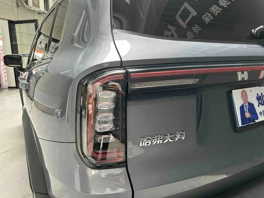 Haval Big Dog — миниатюра 12