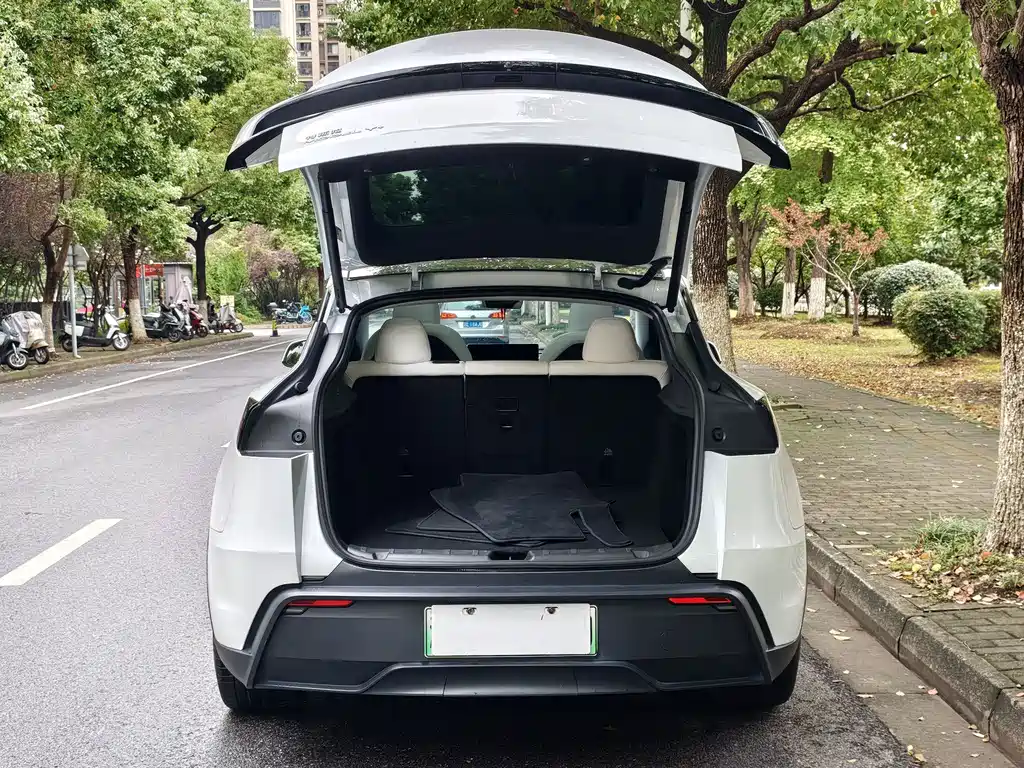 Tesla Model Y — миниатюра 14