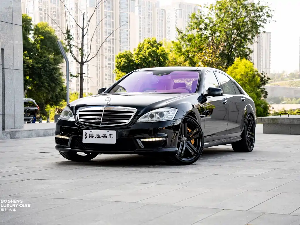 Mercedes-Benz S-Class A MG S AMG 2010 AMG S 65