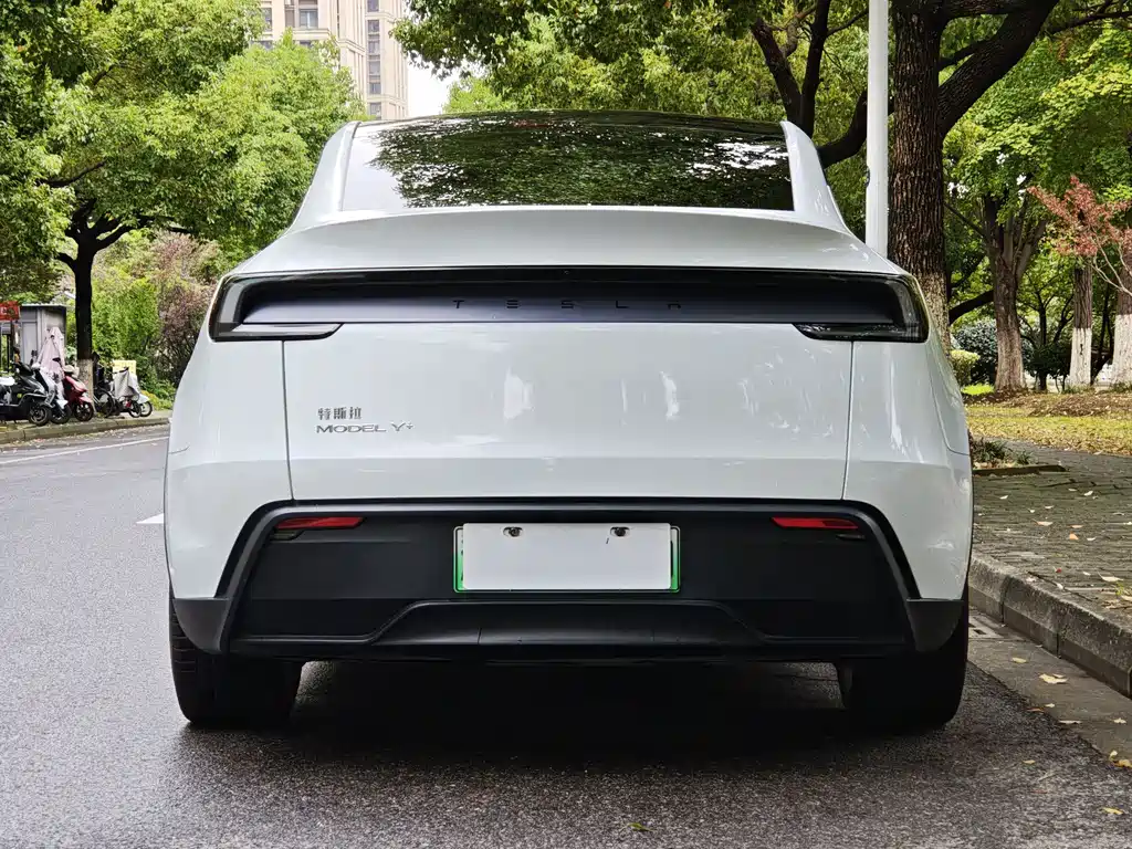 Tesla Model Y — миниатюра 13