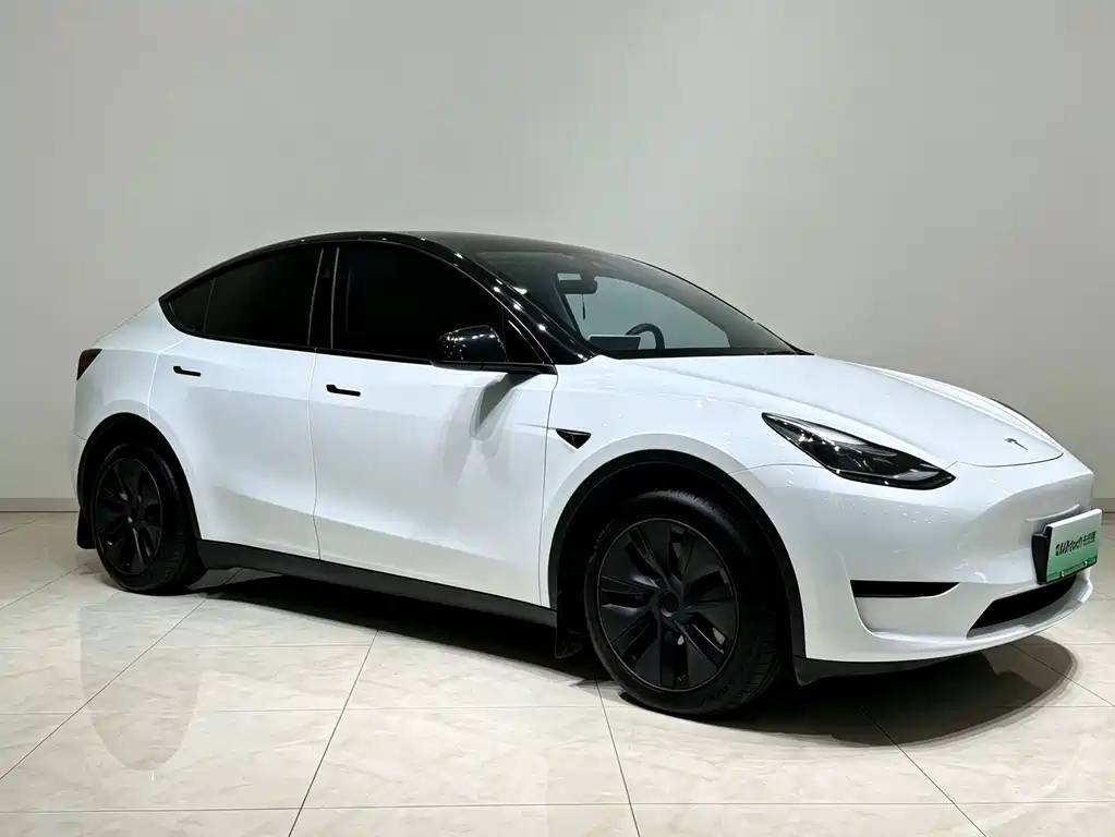 Tesla Model Y — миниатюра 20
