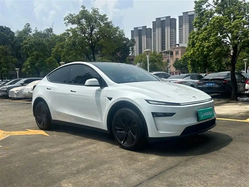 Tesla Model Y — миниатюра 10