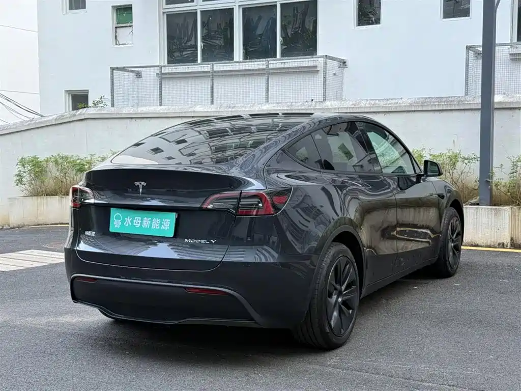 Tesla Model Y — миниатюра 10