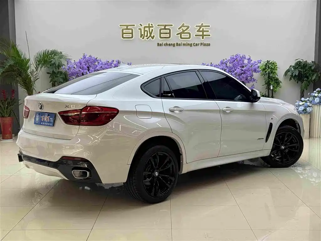 BMW X6 2019 xDrive35i M Sport