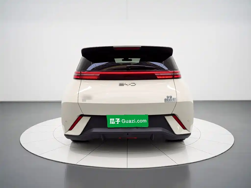 BYD Seagull 2024 305km