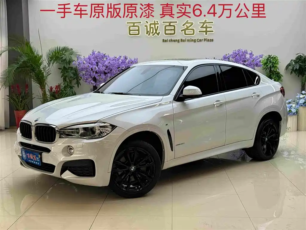 BMW X6 2019 xDrive35i M Sport