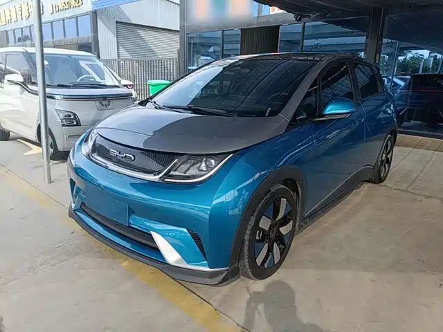 2022 BYD Dolphin