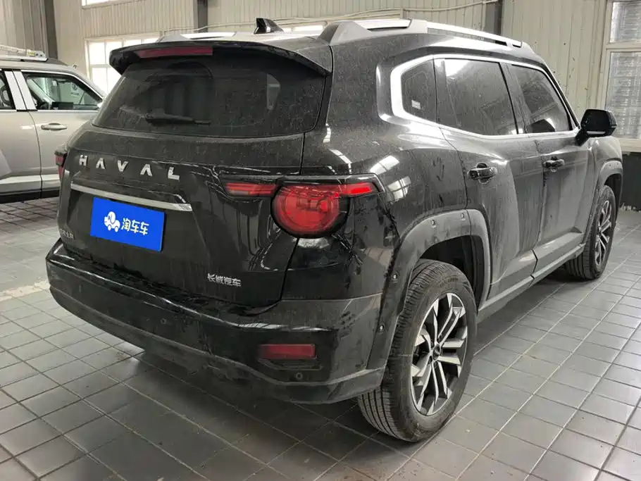Haval Big Dog PLUS — миниатюра 3