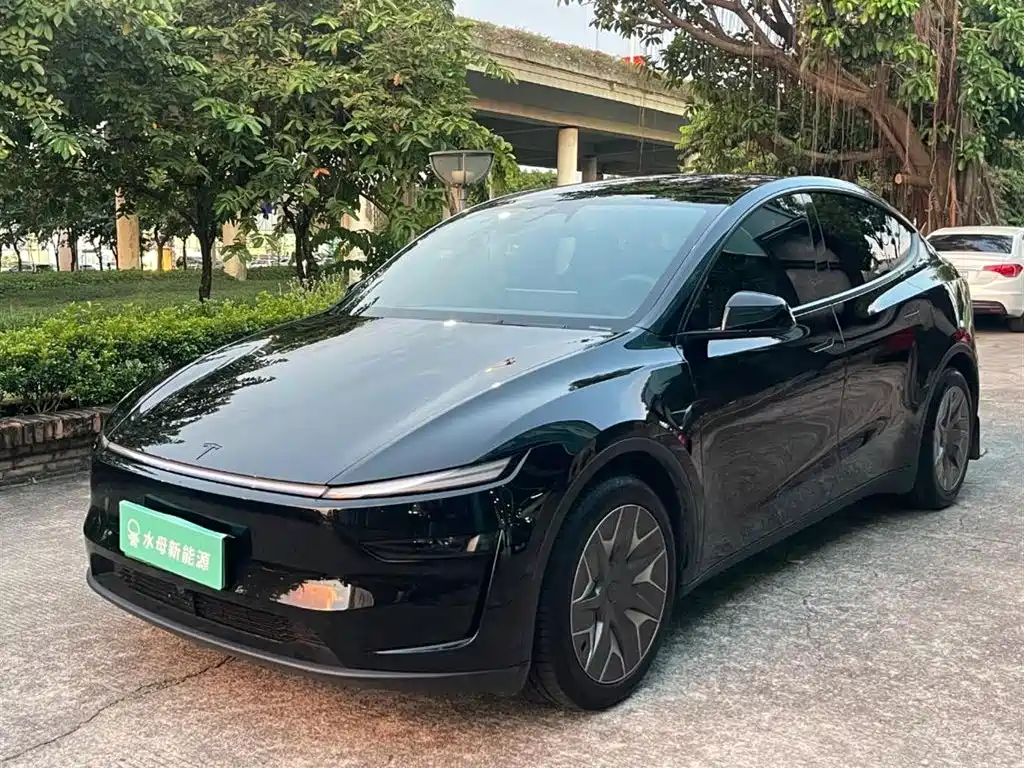 Tesla Model Y L — миниатюра 14