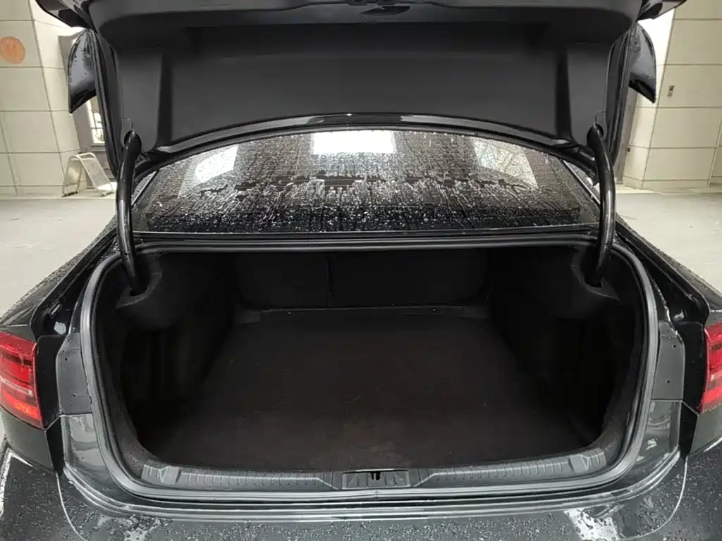 Volkswagen Lamando — миниатюра 19