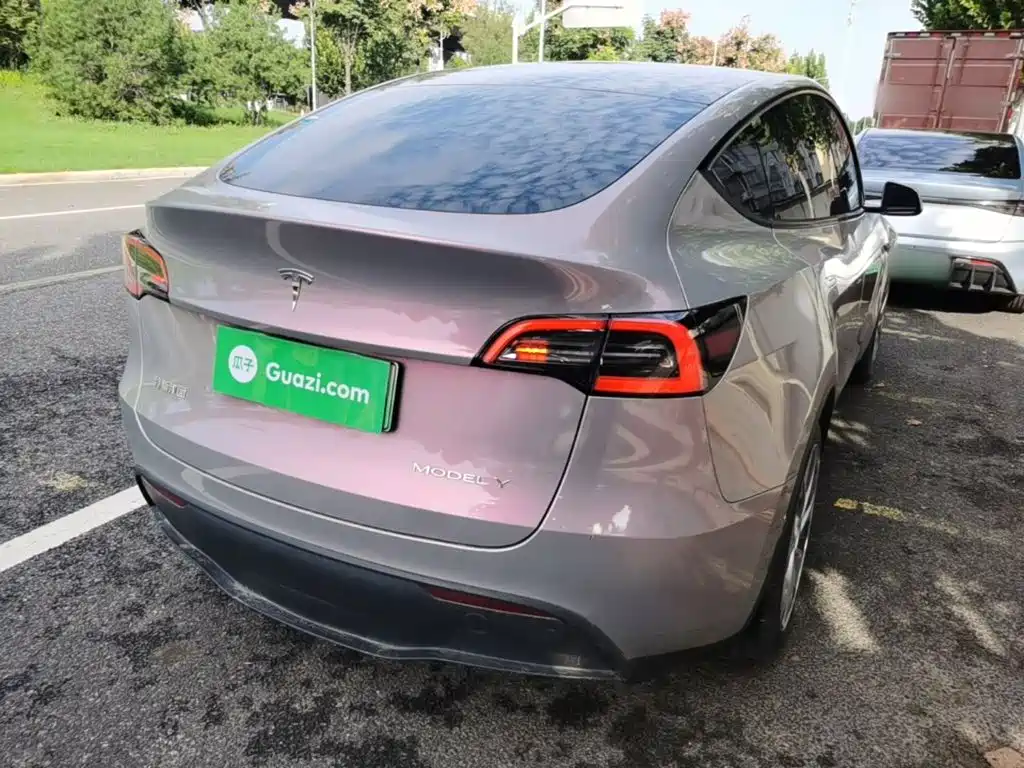 Tesla Model Y — миниатюра 7