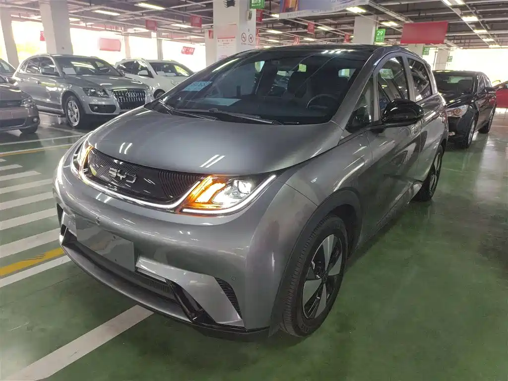 Byd Dolphin 2023
