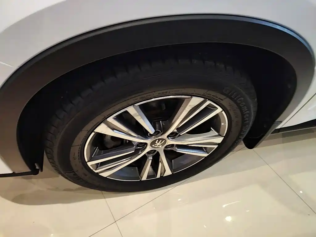 BYD Pro — миниатюра 23